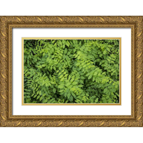 Washington State, San Juan Islands Foliage Gold Ornate Wood Framed Art Print with Double Matting by Paulson, Don