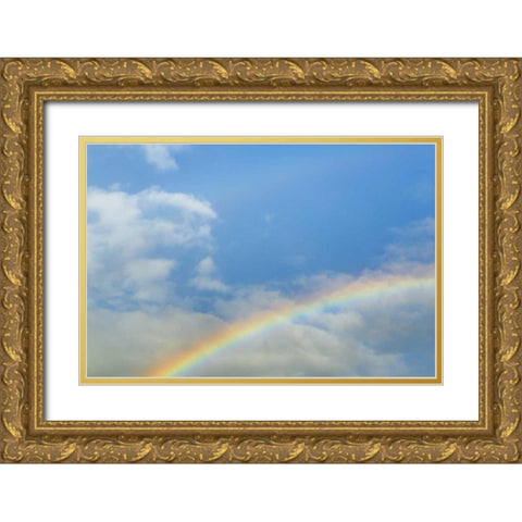 Washington, Seabeck Rainbow in light rainfall Gold Ornate Wood Framed Art Print with Double Matting by Paulson, Don