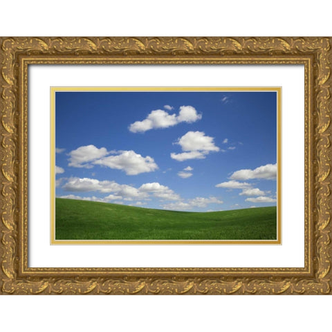 Washington, Palouse Green wheat field landscape Gold Ornate Wood Framed Art Print with Double Matting by Flaherty, Dennis