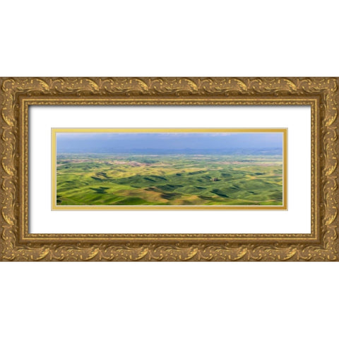 Washington, Palouse Hills Panorama of farmland Gold Ornate Wood Framed Art Print with Double Matting by Paulson, Don