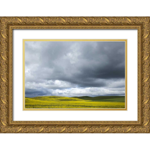 WA, Palouse Canola field on a stormy day Gold Ornate Wood Framed Art Print with Double Matting by Flaherty, Dennis