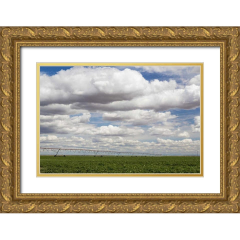 WA, Connell Irrigation device in farm field Gold Ornate Wood Framed Art Print with Double Matting by Paulson, Don