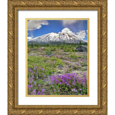 WA, Gifford Pinchot NF Mount St Helens landscape Gold Ornate Wood Framed Art Print with Double Matting by Terrill, Steve