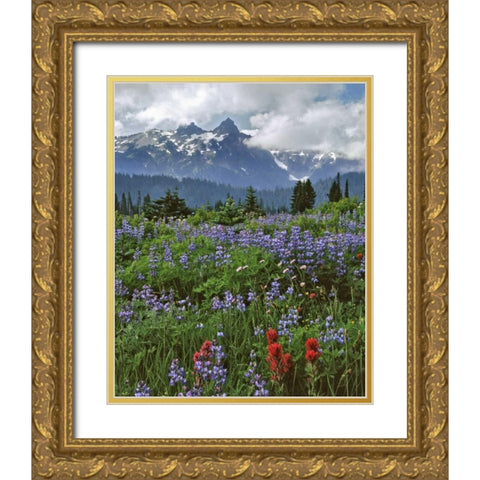 WA, Mount Rainier NP Lupine and paintbrush Gold Ornate Wood Framed Art Print with Double Matting by Terrill, Steve
