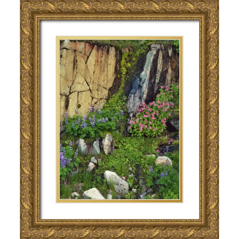 WA, Mount Rainier NP Lupine and monkey flower Gold Ornate Wood Framed Art Print with Double Matting by Terrill, Steve