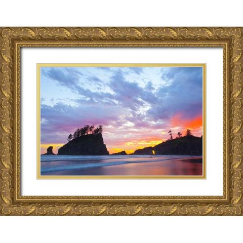 Washington, Olympic NP Second Beach at sunset Gold Ornate Wood Framed Art Print with Double Matting by Delisle, Gilles