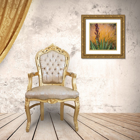 Yucca and Ornamental Grass in Fall-Washington-Lemolo  Gold Ornate Wood Framed Art Print with Double Matting by Jaynes Gallery