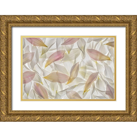 Dahlia Petals  Gold Ornate Wood Framed Art Print with Double Matting by Jaynes Gallery
