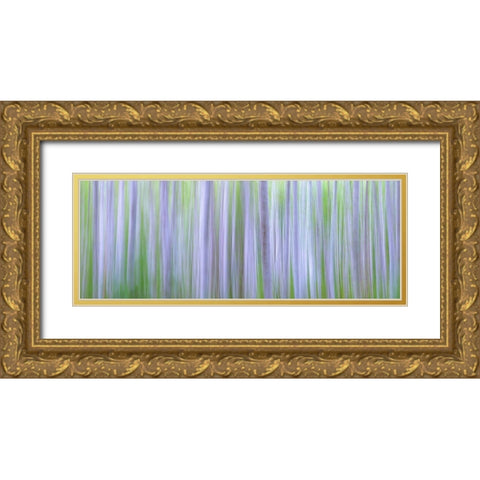 Washington State-Seabeck Panoramic abstract of alder grove  Gold Ornate Wood Framed Art Print with Double Matting by Jaynes Gallery