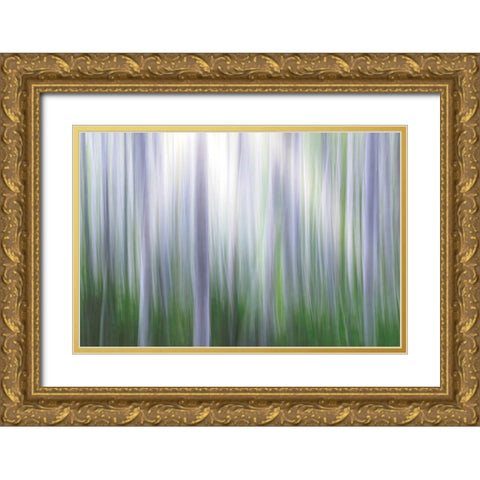 Washington State-Seabeck Panoramic abstract of alder grove  Gold Ornate Wood Framed Art Print with Double Matting by Jaynes Gallery