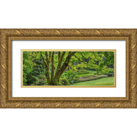 Washington State-Bainbridge Island Panoramic of garden  Gold Ornate Wood Framed Art Print with Double Matting by Jaynes Gallery