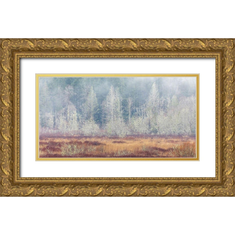 Washington State-Dewatto Panoramic of autumn meadow and forest  Gold Ornate Wood Framed Art Print with Double Matting by Jaynes Gallery