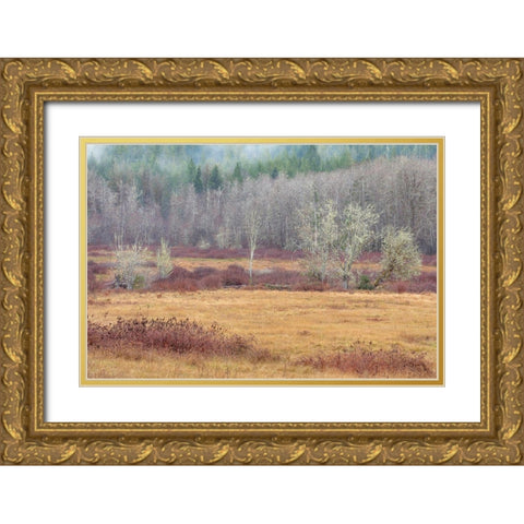 Washington State-Dewatto Autumn meadow and forest  Gold Ornate Wood Framed Art Print with Double Matting by Jaynes Gallery