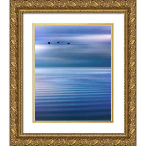 Washington State-Seabeck Composite of birds flying over Hood Canal  Gold Ornate Wood Framed Art Print with Double Matting by Jaynes Gallery