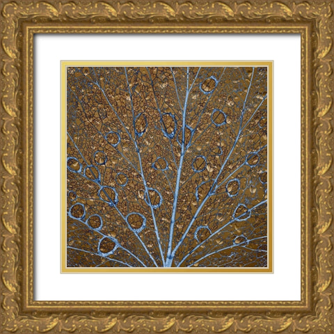 An abstraction of water drops on a skeletonized cottonwood leaf  Gold Ornate Wood Framed Art Print with Double Matting by Jaynes Gallery