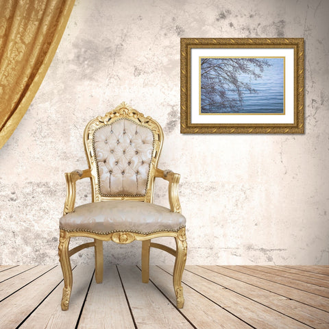 Washington State-Seabeck Alder branches in winter and Hood Canal  Gold Ornate Wood Framed Art Print with Double Matting by Jaynes Gallery