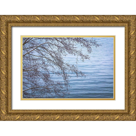 Washington State-Seabeck Alder branches in winter and Hood Canal  Gold Ornate Wood Framed Art Print with Double Matting by Jaynes Gallery