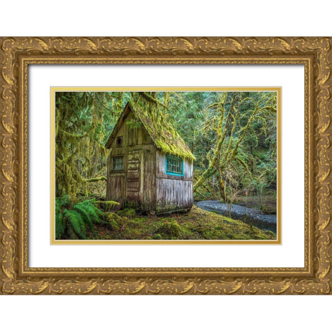 Washington State-Olympic National Park Tolkien-like abandoned cabin Gold Ornate Wood Framed Art Print with Double Matting by Jaynes Gallery