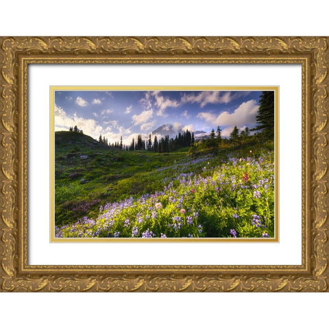 USA-Washington-Mt-Rainier National Park-Mountain meadow with wildflowers Gold Ornate Wood Framed Art Print with Double Matting by Jaynes Gallery