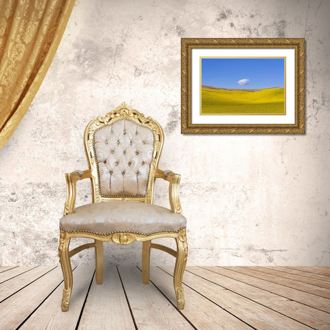 USA-Washington-Palouse-Ripe canola crop and cloud Gold Ornate Wood Framed Art Print with Double Matting by Jaynes Gallery