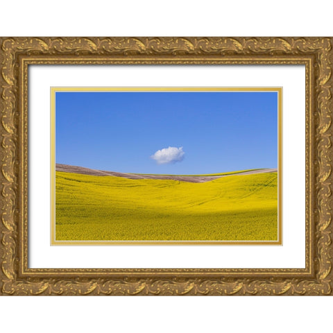 USA-Washington-Palouse-Ripe canola crop and cloud Gold Ornate Wood Framed Art Print with Double Matting by Jaynes Gallery