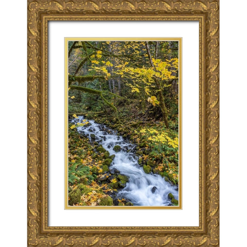 USA-Washington State-Olympic National Park Creek rapids and forest in autumn Gold Ornate Wood Framed Art Print with Double Matting by Jaynes Gallery