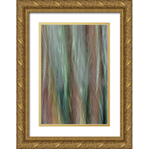 USA-Washington State-Seabeck Forest fantasy composite in Guillemot Cove Nature Preserve Gold Ornate Wood Framed Art Print with Double Matting by Jaynes Gallery