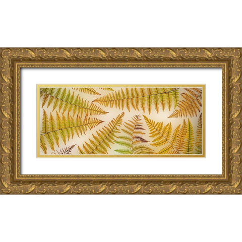 USA-Washington State-Seabeck Panoramic of bracken fern pattern Gold Ornate Wood Framed Art Print with Double Matting by Jaynes Gallery