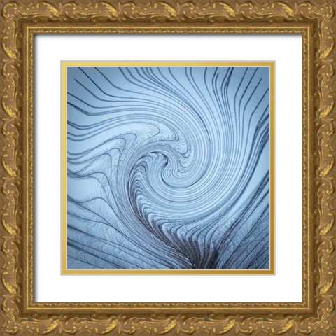 USA-Washington State-Seabeck Downy feather with a twist Gold Ornate Wood Framed Art Print with Double Matting by Jaynes Gallery