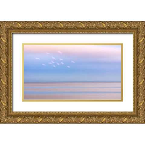 USA-Washington State-Seabeck Pastel sunrise panoramic over Hood Canal Gold Ornate Wood Framed Art Print with Double Matting by Jaynes Gallery