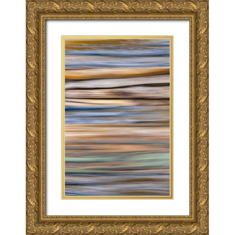 USA-Washington State-Seabeck Abstract of tree trunk and limbs Gold Ornate Wood Framed Art Print with Double Matting by Jaynes Gallery