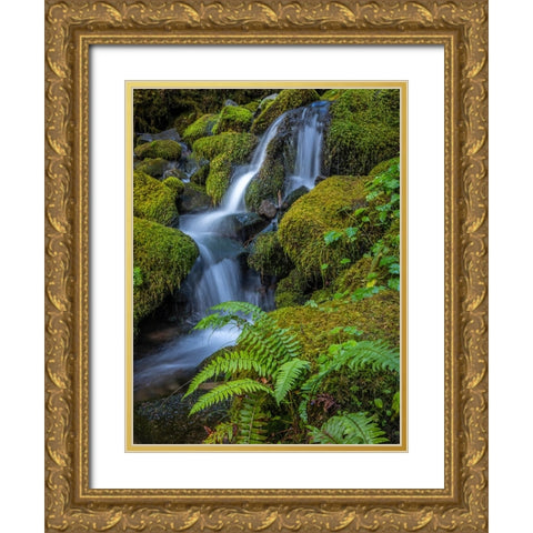 USA-Washington State-Olympic National Park Cedar Creek cascades through moss- covered boulders Gold Ornate Wood Framed Art Print with Double Matting by Jaynes Gallery