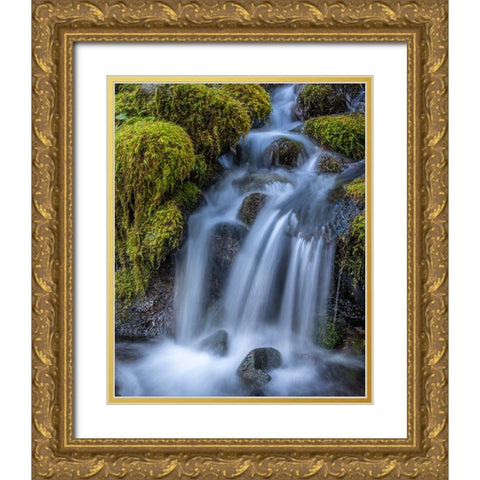 USA-Washington State-Olympic National Park Cedar Creek cascades through moss- covered boulders Gold Ornate Wood Framed Art Print with Double Matting by Jaynes Gallery