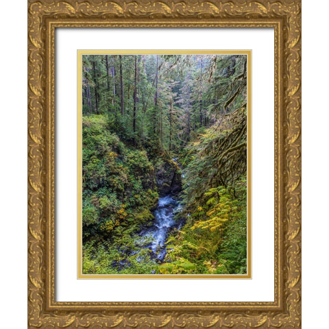 USA-Washington State-Olympic National Park The Sol Duc River runs through forest Gold Ornate Wood Framed Art Print with Double Matting by Jaynes Gallery