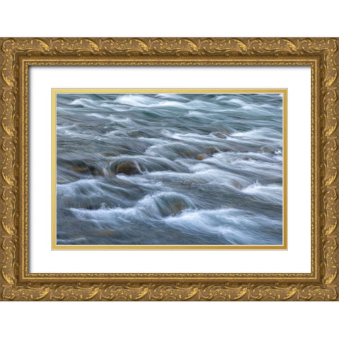 USA-Washington State-Olympic National Park Elwha River rapids scenic Gold Ornate Wood Framed Art Print with Double Matting by Jaynes Gallery