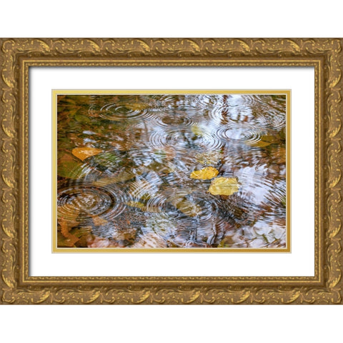 USA- Washington State- Seabeck. Autumn raindrops on water. Gold Ornate Wood Framed Art Print with Double Matting by Jaynes Gallery