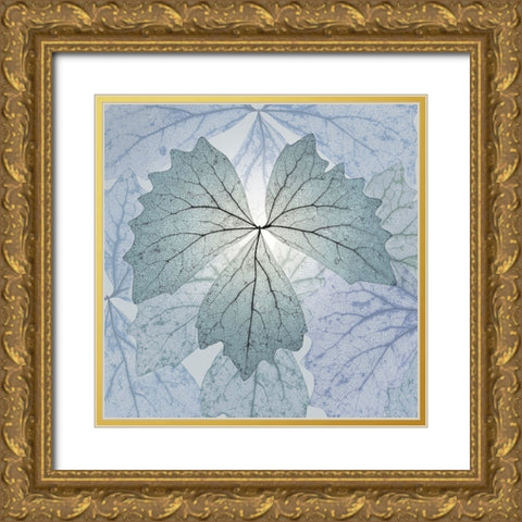 USA- Washington State- Seabeck. Composite of skeletonized vanilla leaves. Gold Ornate Wood Framed Art Print with Double Matting by Jaynes Gallery