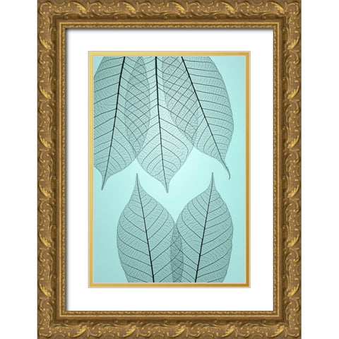 USA- Washington State- Seabeck. Pattern of skeletonized leaves. Gold Ornate Wood Framed Art Print with Double Matting by Jaynes Gallery