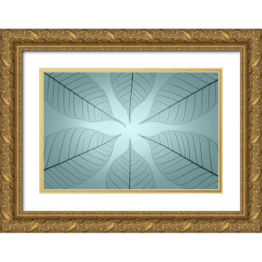 Perspective Image