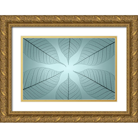 USA- Washington State- Seabeck. Pattern of skeletonized leaves. Gold Ornate Wood Framed Art Print with Double Matting by Jaynes Gallery