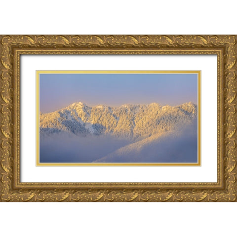 USA- Washington State. Sunrise on snow-covered mountains in Olympic National Forest. Gold Ornate Wood Framed Art Print with Double Matting by Jaynes Gallery