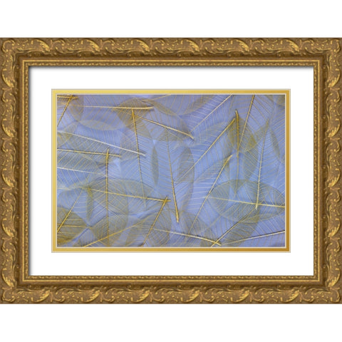USA- Washington State- Seabeck. Pattern of skeletonized leaves. Gold Ornate Wood Framed Art Print with Double Matting by Jaynes Gallery