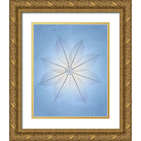 USA- Washington State- Seabeck. Skeletonized leaf pattern. Gold Ornate Wood Framed Art Print with Double Matting by Jaynes Gallery