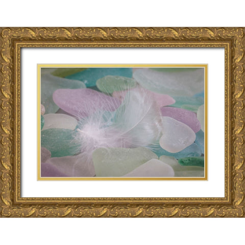 USA- Washington State- Seabeck. Feather and beach glass close-up. Gold Ornate Wood Framed Art Print with Double Matting by Jaynes Gallery