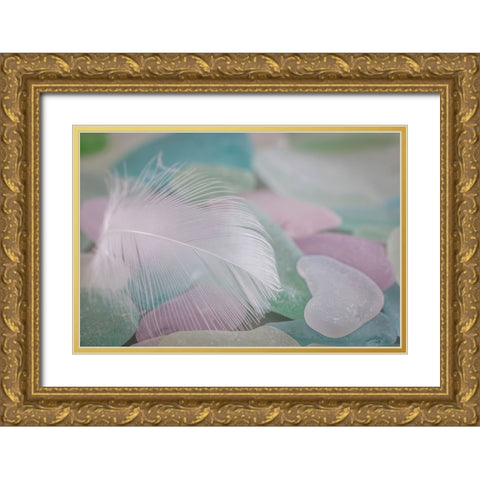 USA- Washington State- Seabeck. Feather and beach glass close-up. Gold Ornate Wood Framed Art Print with Double Matting by Jaynes Gallery