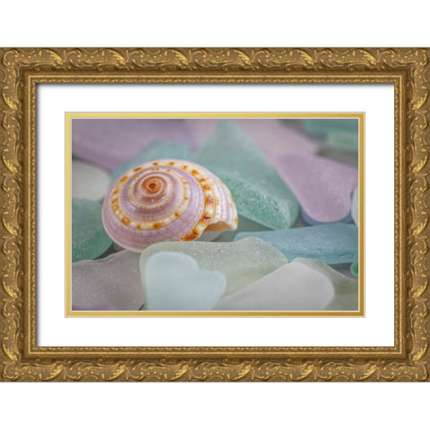 USA- Washington State- Seabeck. Seashell and beach glass. Gold Ornate Wood Framed Art Print with Double Matting by Jaynes Gallery