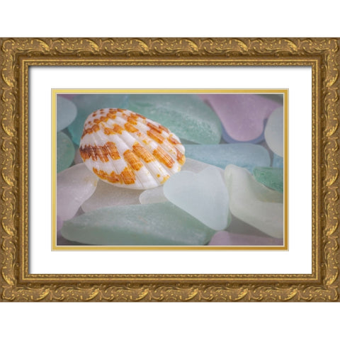 USA- Washington State- Seabeck. Seashell and beach glass. Gold Ornate Wood Framed Art Print with Double Matting by Jaynes Gallery