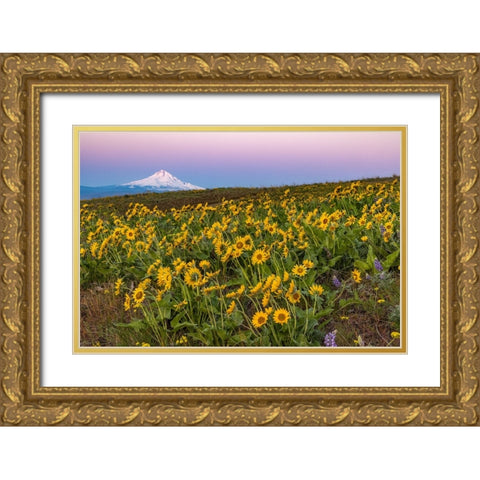Spring wildflowers in full bloom on Dalles Mountain in Columbia Hills State Park near Lyle-Washingt Gold Ornate Wood Framed Art Print with Double Matting by Haney, Chuck