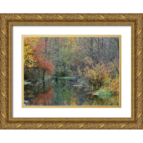 USA- Washington State- Easton and Washington Cascades water way off of Yakima River in Fall Color Gold Ornate Wood Framed Art Print with Double Matting by Gulin, Darrell