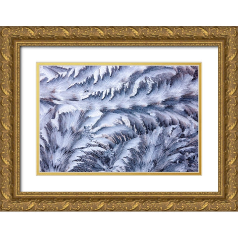 USA- Washington State- Sammamish. Frost on auto window Gold Ornate Wood Framed Art Print with Double Matting by Gulin, Darrell